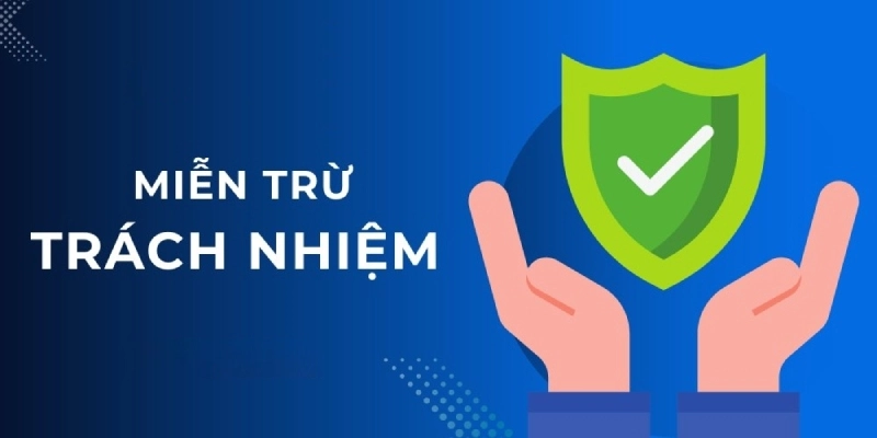 Nội dung các điều khoản trong chính sách